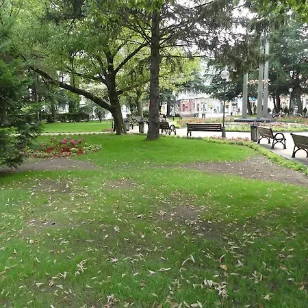 елегантен в супер центъра на града с изглед към парк, възможност за безплатно паркиране דירה קאזאנלק